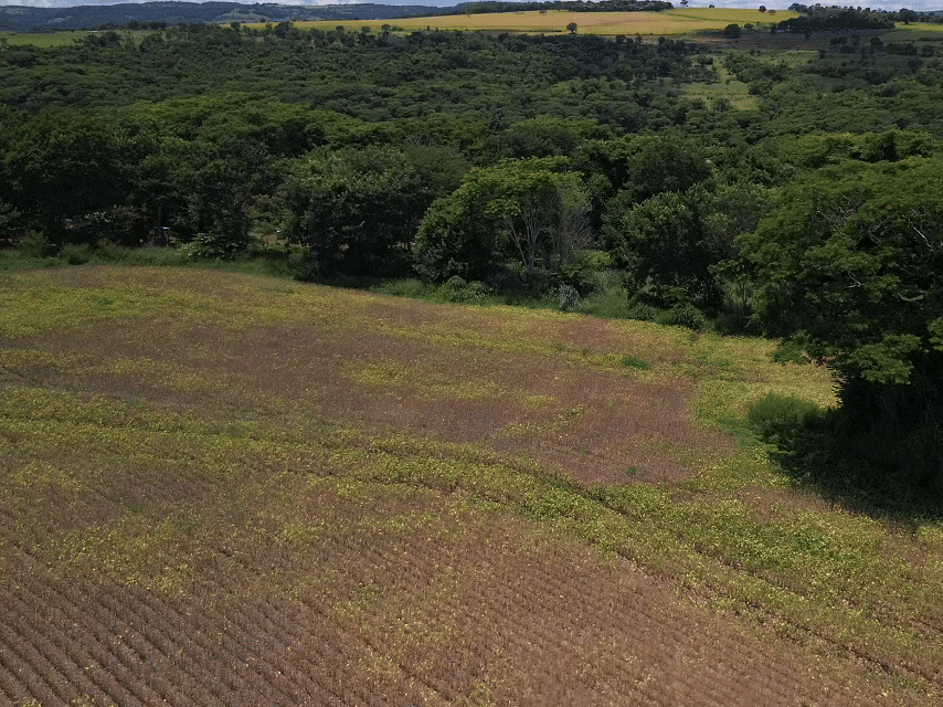 agricultura de precisão com drones em uberlandia e regiao